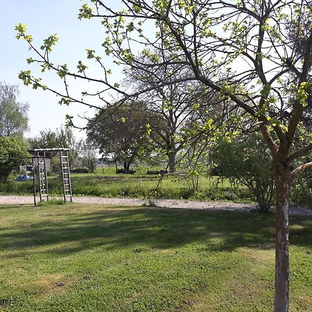 Bed and Breakfast Aux Cadollines Romenay Exterior foto