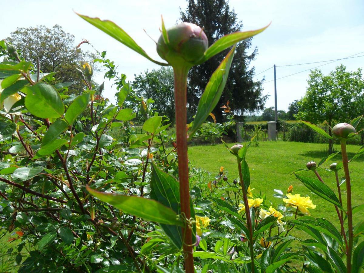 Bed and Breakfast Aux Cadollines Romenay Exterior foto