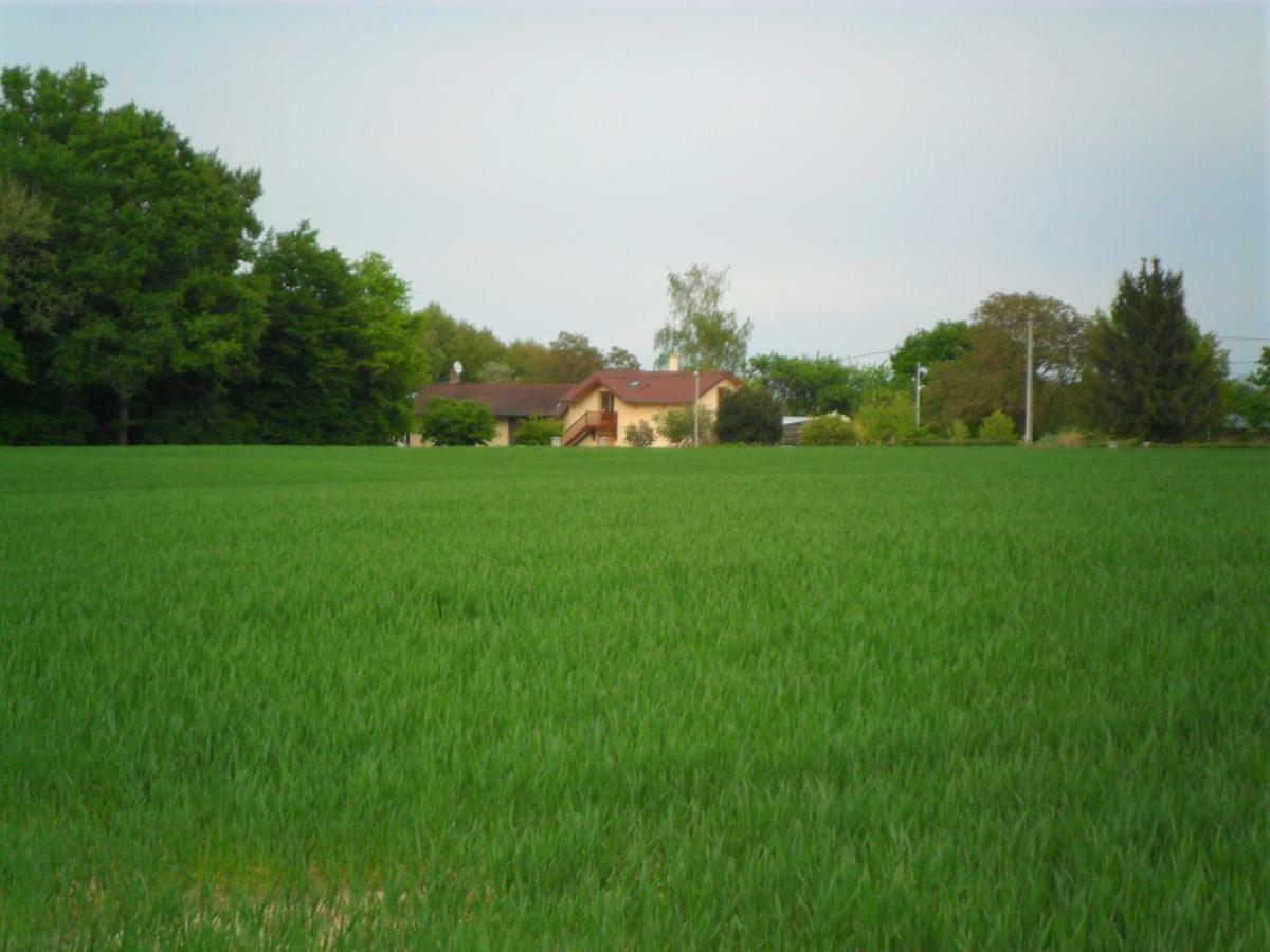 Bed and Breakfast Aux Cadollines Romenay Exterior foto
