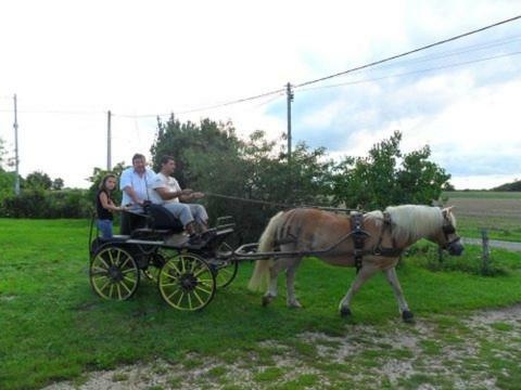Bed and Breakfast Aux Cadollines Romenay Exterior foto