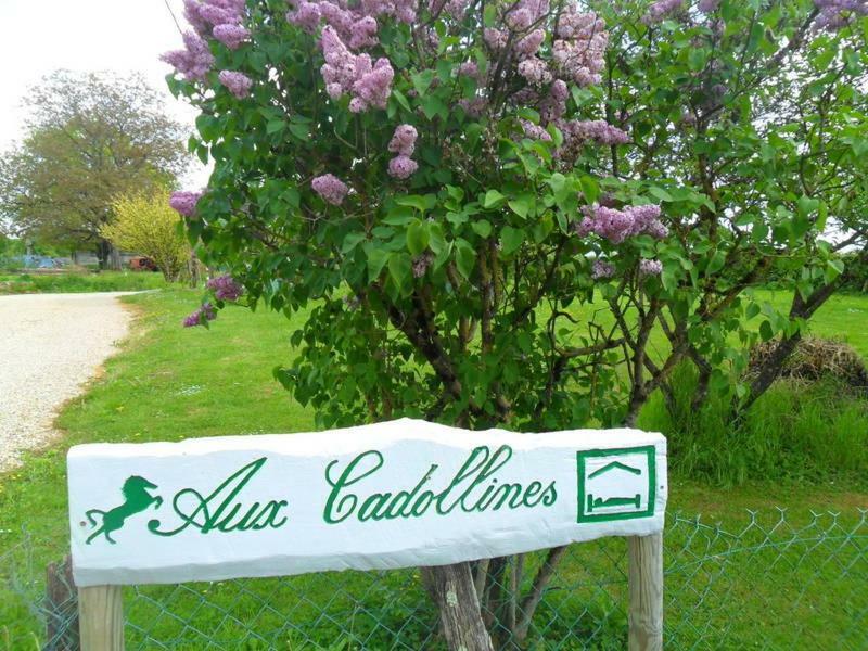 Bed and Breakfast Aux Cadollines Romenay Exterior foto
